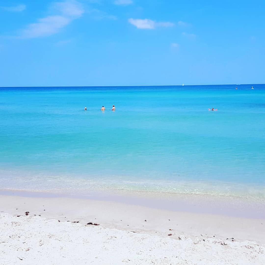 Miami Hollywood Condo For 4 People 001-21Vic 外观 照片